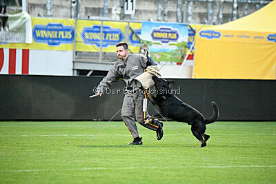 Iron von Pike`s Spirit